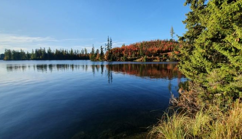 Hotel CROCUS **** Vysoké Tatry